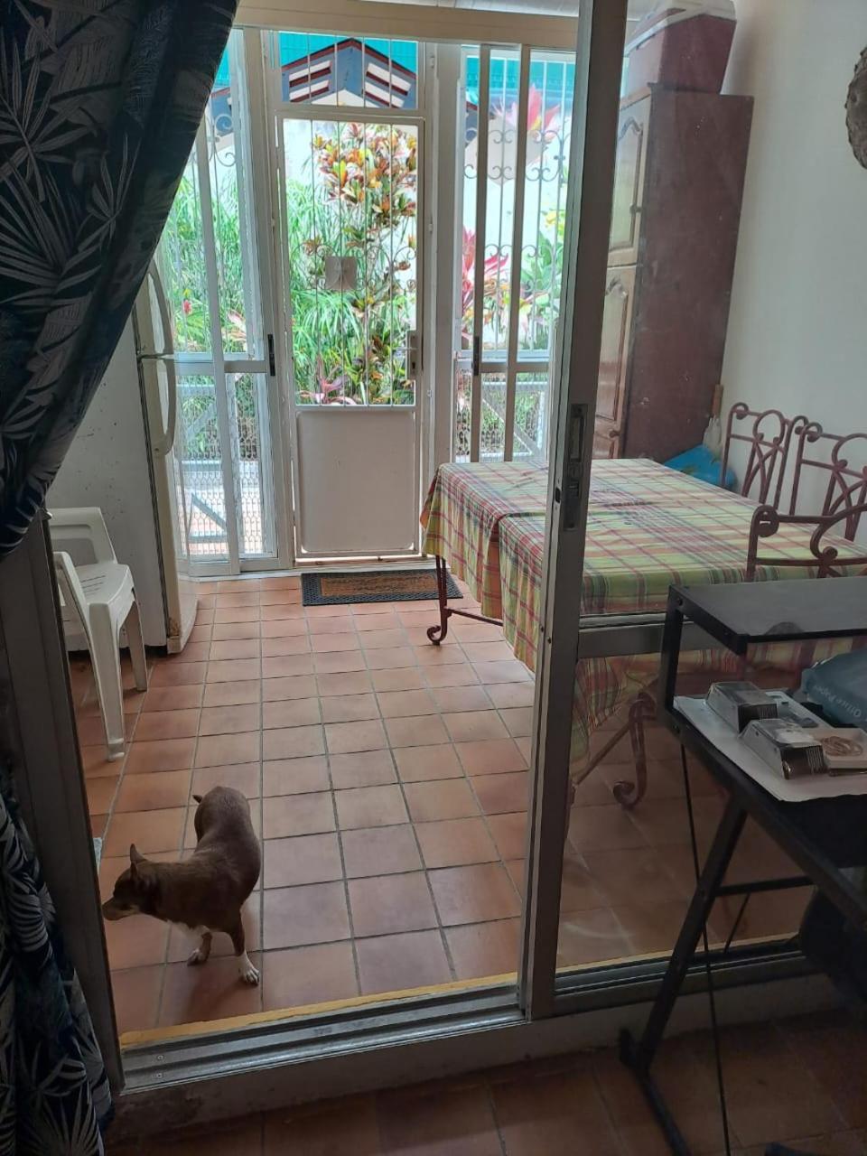 Appartement T2 Meuble Tout Confort Ле Госие Екстериор снимка